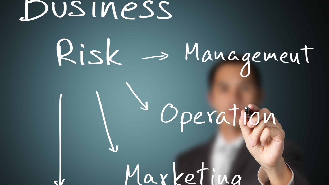 Organizational Risk & Knowledge Management